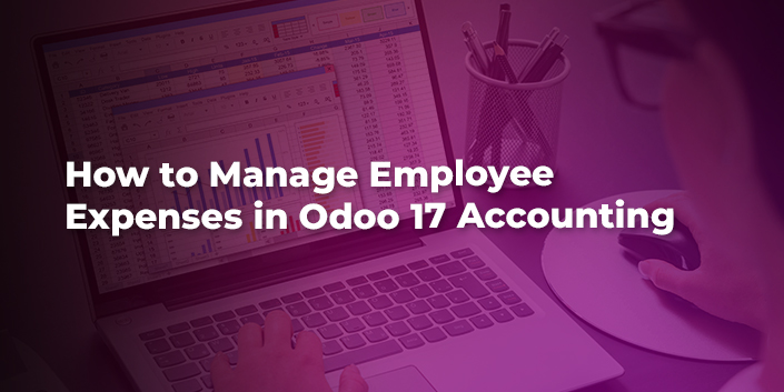 how-to-manage-employee-expenses-in-odoo-17-accounting.jpg