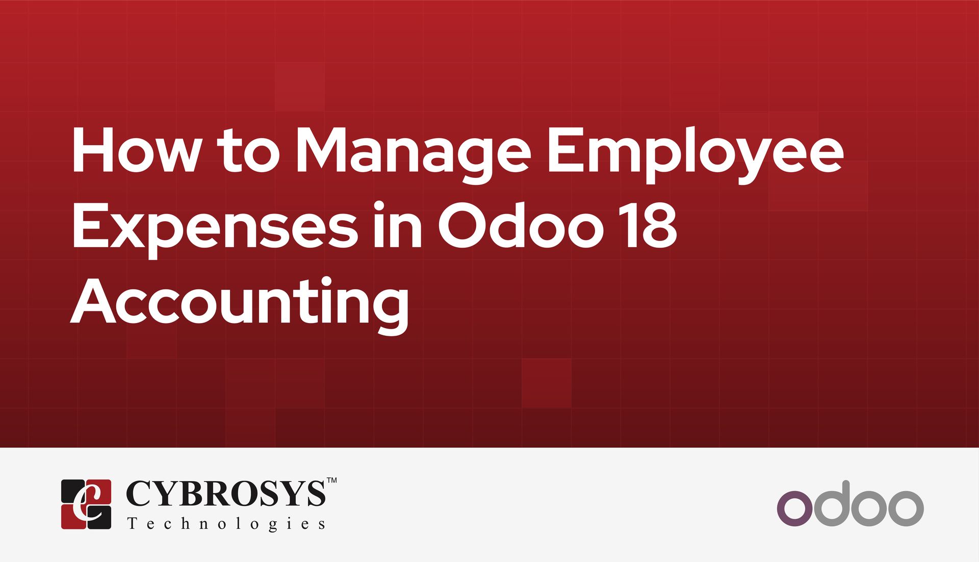 how-to-manage-employee-expenses-in-odoo-18-accounting.jpg