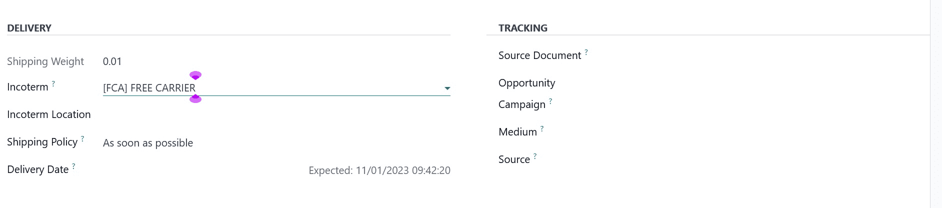 how-to-manage-incoterms-and-shopping-methods-in-odoo-17-sales-5-cybrosys