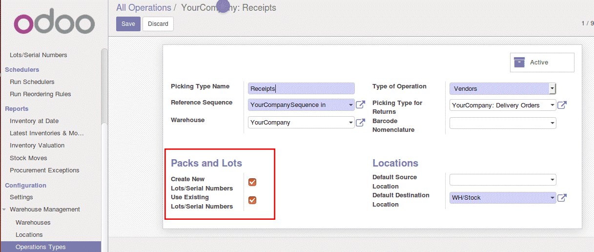 how-to-manage-lots-in-odoo-3-cybrosys