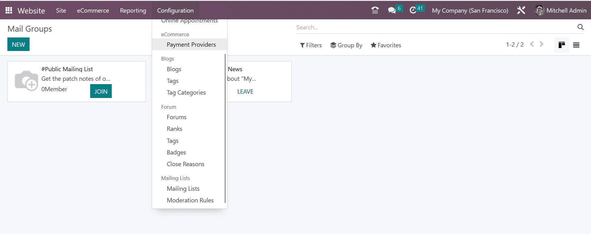 How to Manage Mailing Lists in Odoo 16 Website App-cybrosys