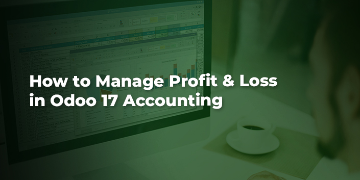 how-to-manage-profit-and-loss-in-odoo-17-accounting.jpg