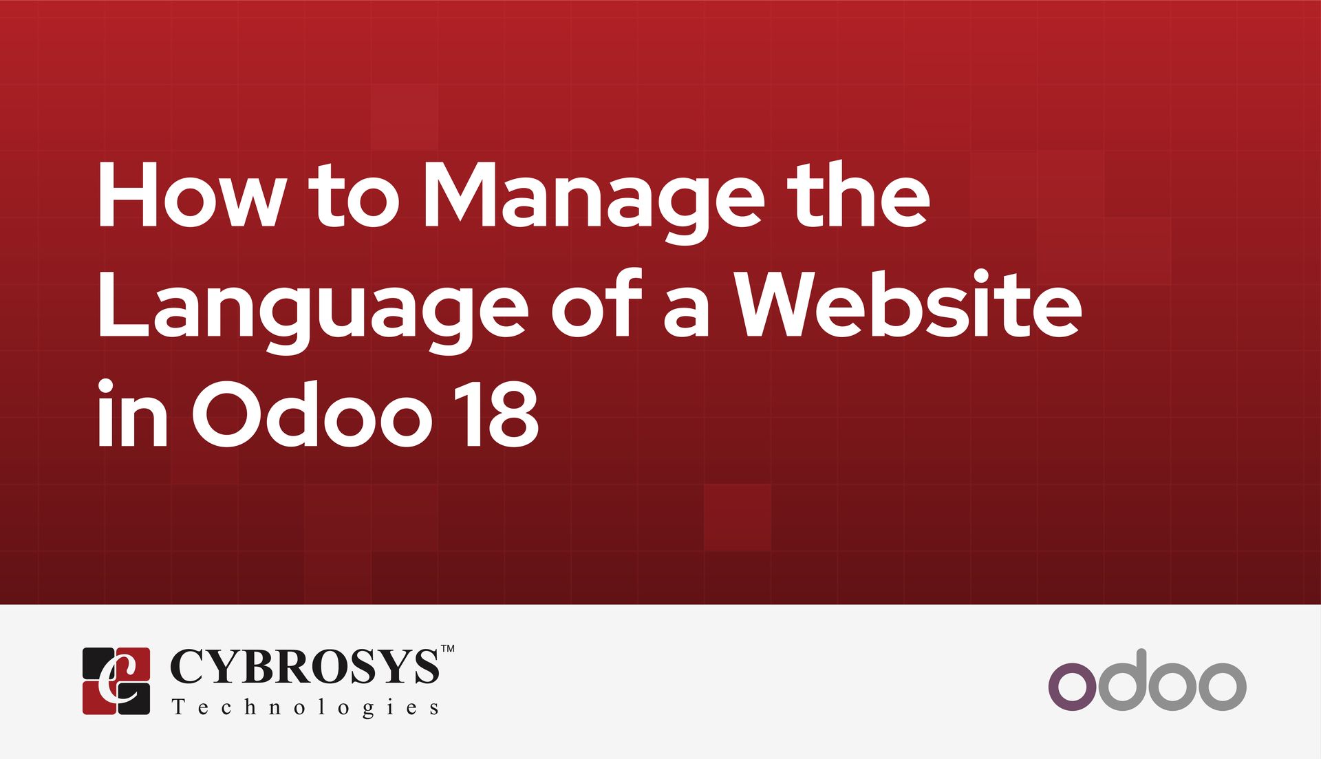 how-to-manage-the-language-of-a-website-in-odoo-18.jpg