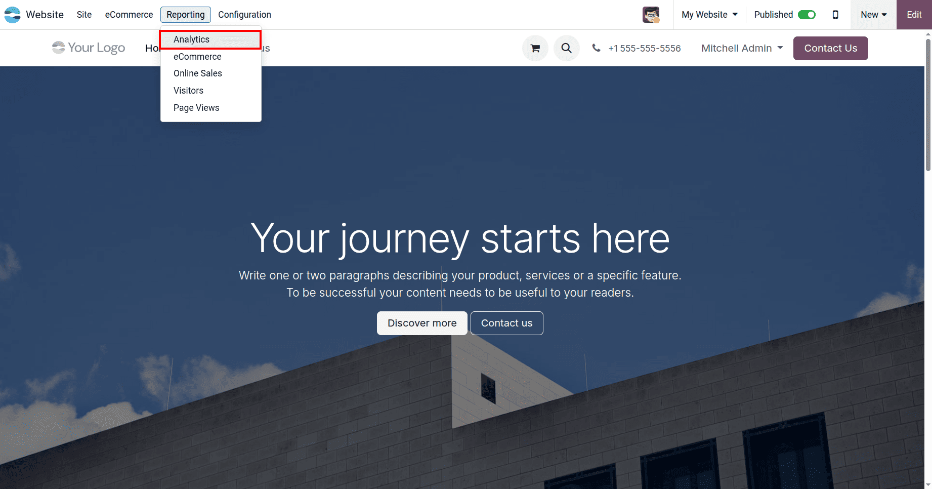 How to Measure and Improve E-Commerce Sales Performance Odoo 19 Analytics-cybrosys