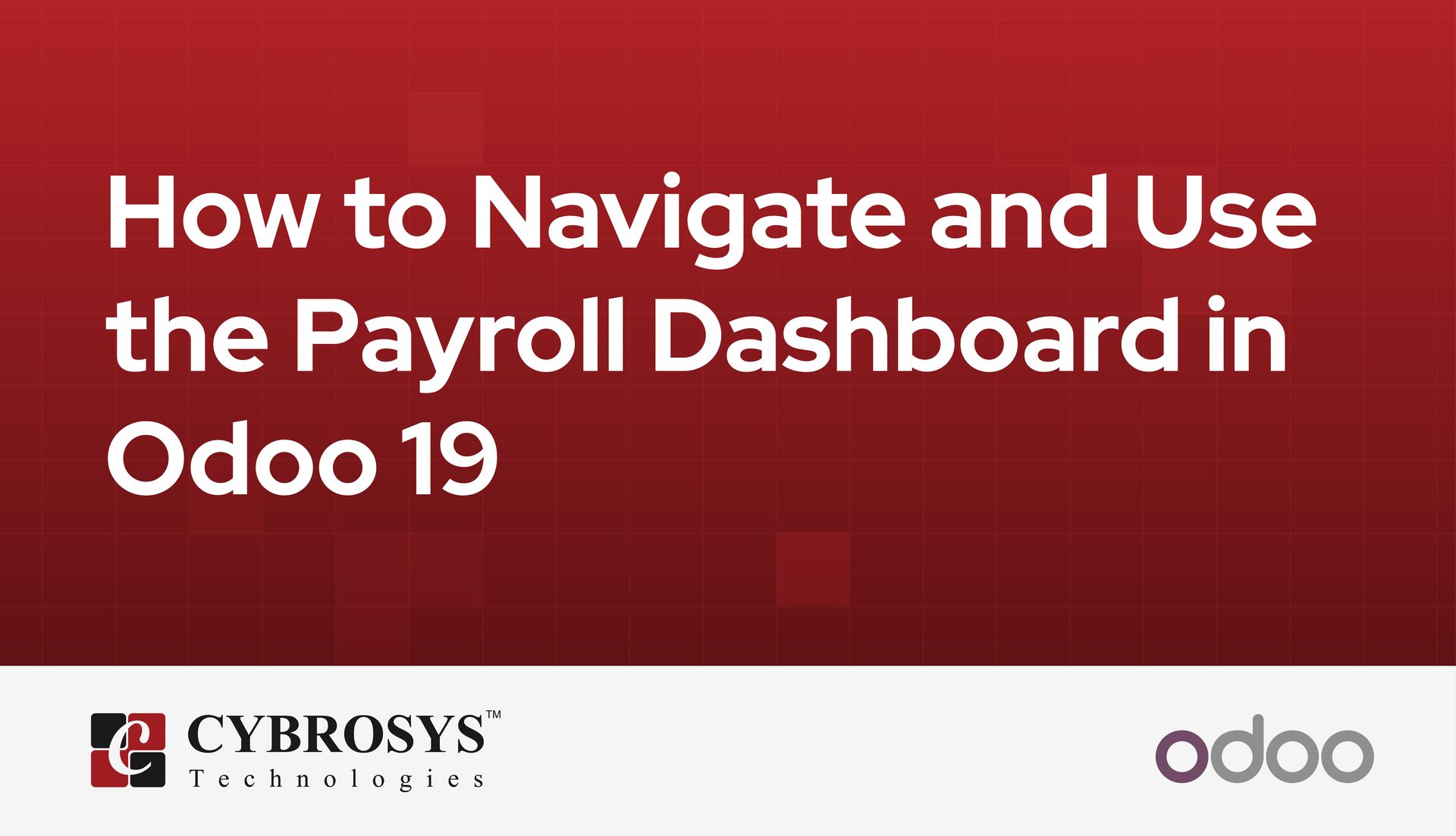 how-to-navigate-and-use-the-payroll-dashboard-in-odoo-19.jpg