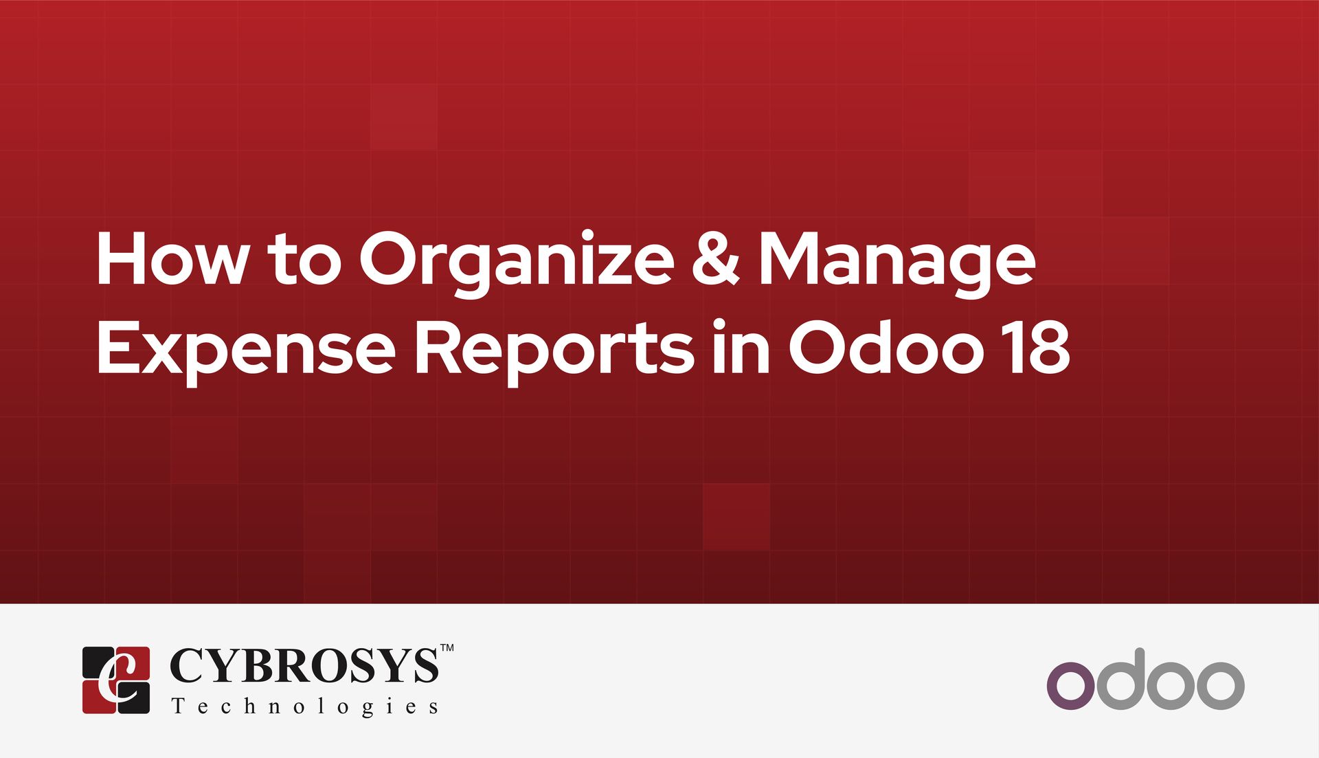 how-to-organize-manage-expense-reports-in-odoo-18.jpg