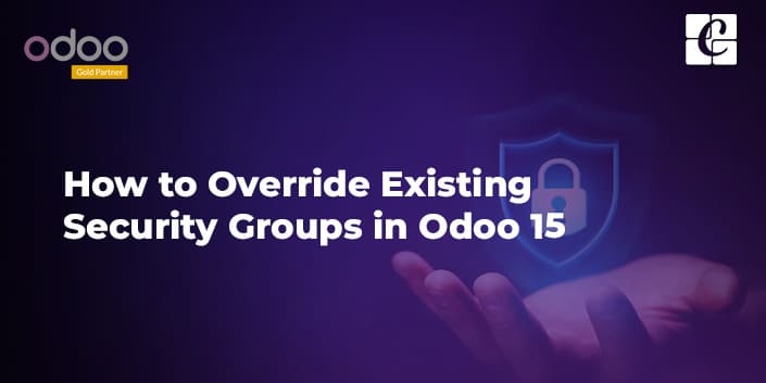 how-to-override-existing-security-groups-in-odoo-15.jpg