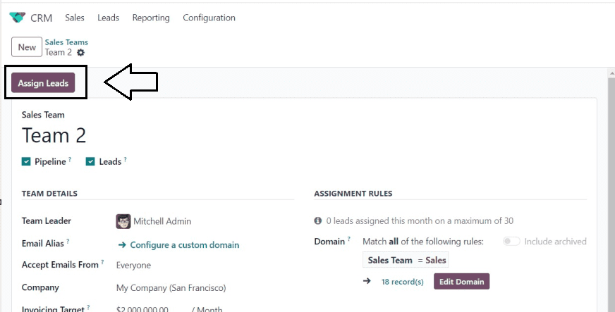 how-to-periodically-assign-leads-based-on-rules-in-odoo-17-crm-12-cybrosys