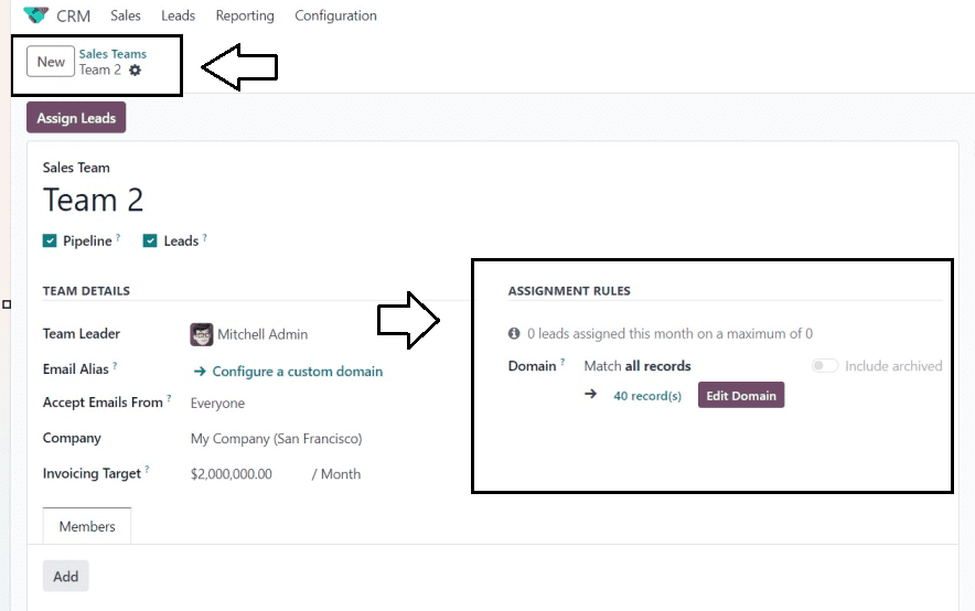 how-to-periodically-assign-leads-based-on-rules-in-odoo-17-crm-5-cybrosys