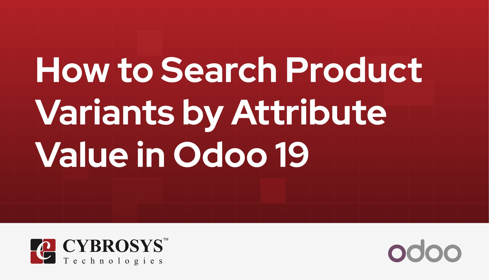 how-to-search-product-variants-by-attribute-value-in-odoo-19.jpg