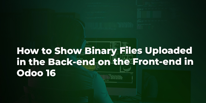 how-to-show-binary-files-uploaded-in-the-back-end-on-the-front-end-in-odoo-16.jpg