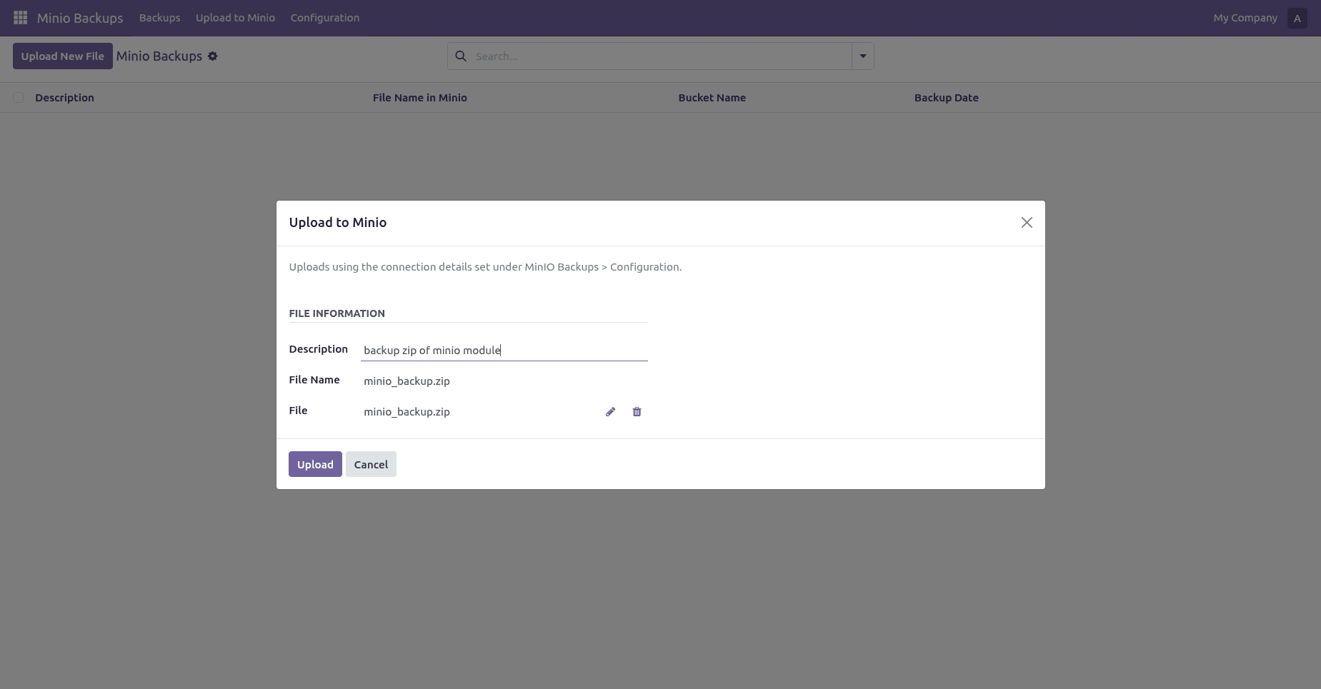 How to Store, Download, and Delete Files in MinIO from Odoo-cybrosys