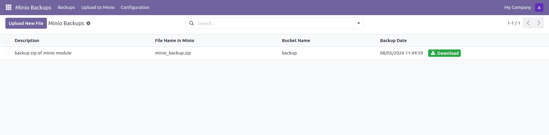 How to Store, Download, and Delete Files in MinIO from Odoo-cybrosys