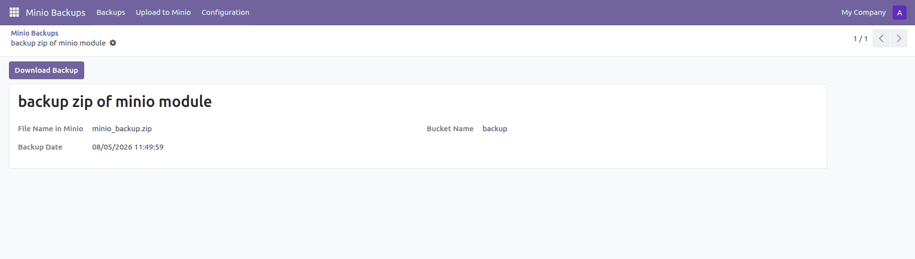 How to Store, Download, and Delete Files in MinIO from Odoo-cybrosys