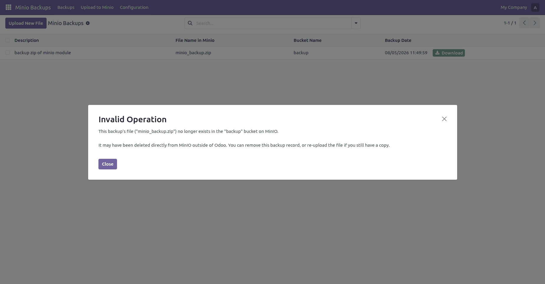 How to Store, Download, and Delete Files in MinIO from Odoo-cybrosys