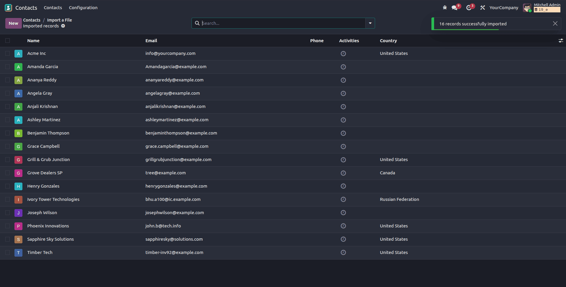 How to use Import with Custom Mapping in Odoo 19-cybrosys