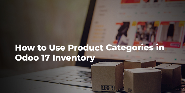 how-to-use-product-categories-in-odoo-17-inventory.jpg