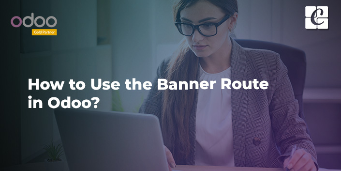 how-to-use-the-banner-route-in-odoo.jpg
