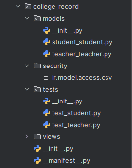 How to Write a Python Test Case in Odoo 18-cybrosys