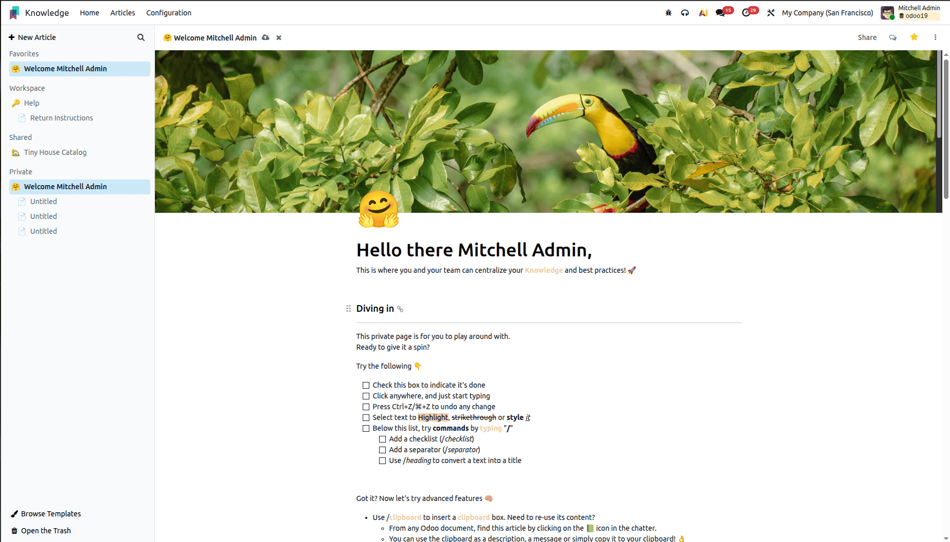 How to Write and Publish Articles with Odoo 19 Knowledge Tools-cybrosys