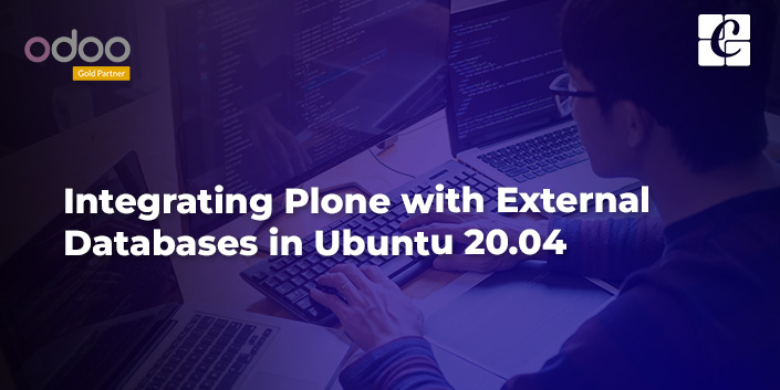 integrating-plone-with-external-databases-in-ubuntu-20-04.jpg