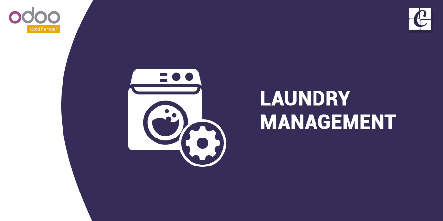 laundry-service-management.png