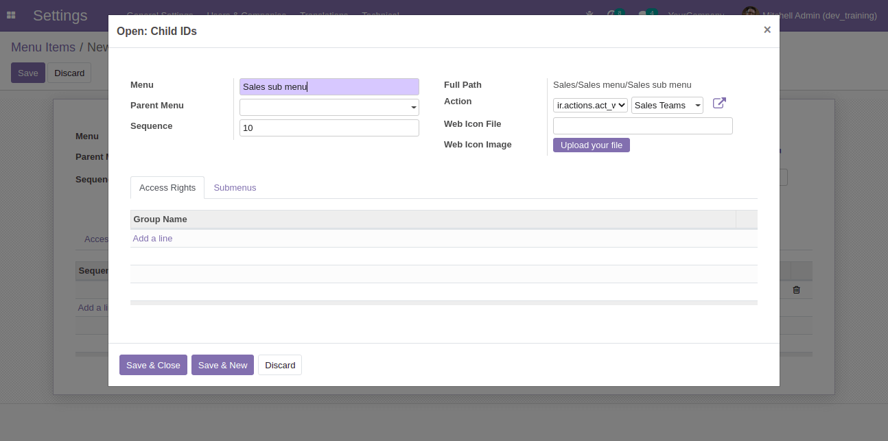 menu-submenu-and-action-in-odoo-cybrosys