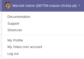 odoo-13-technical-features