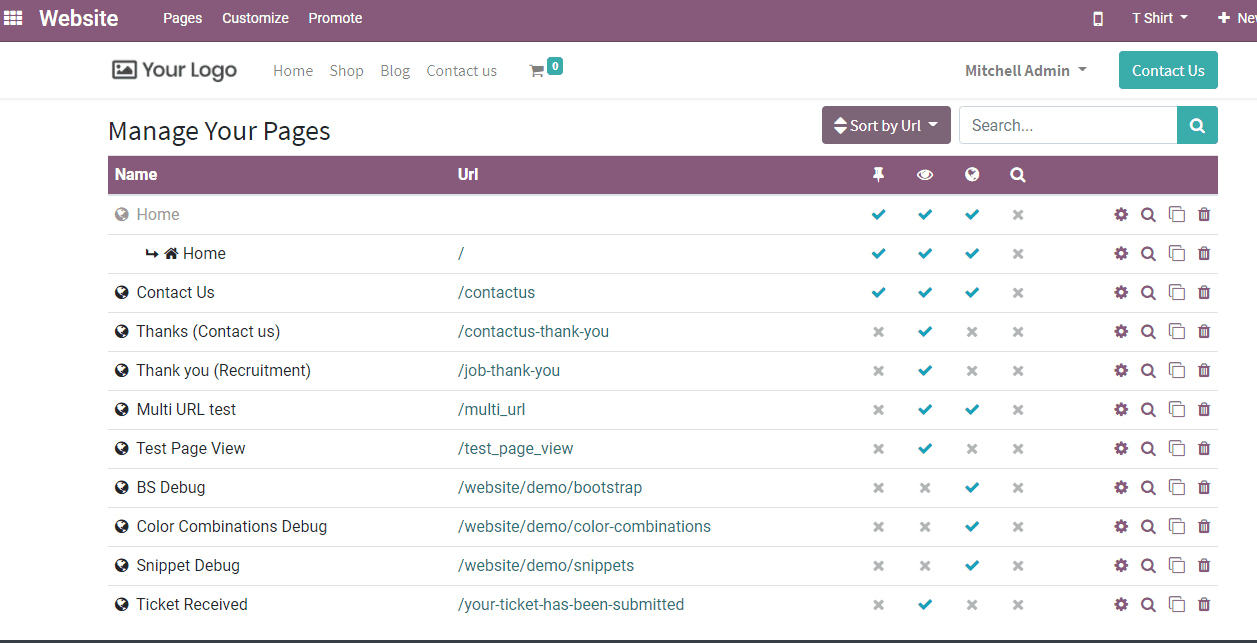 odoo-14-website-builder-cybrosys