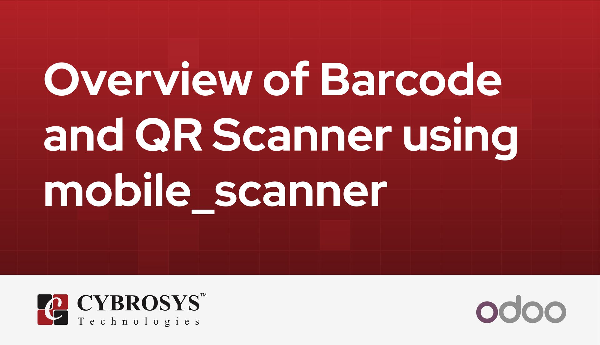 overview-of-barcode-and-qr-scanner-using-mobilescanner.jpg