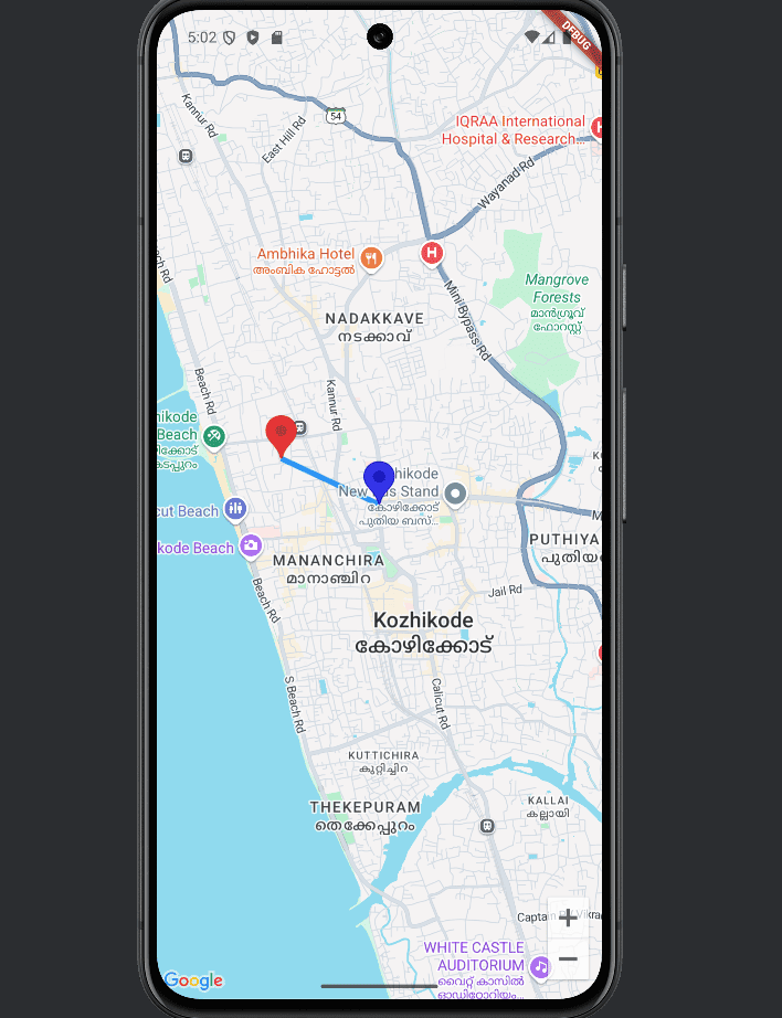 Overview of Google Map integration to Flutter-cybrosys