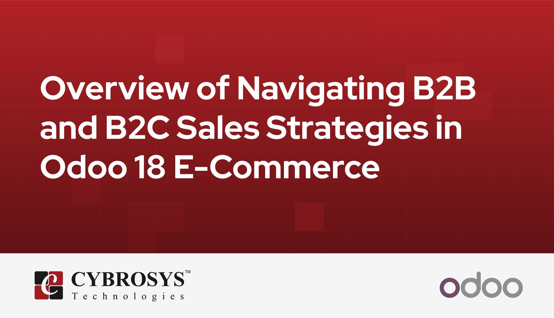 overview-of-navigating-b2b-and-b2c-sales-strategies-in-odoo-18-e-commerce.jpg