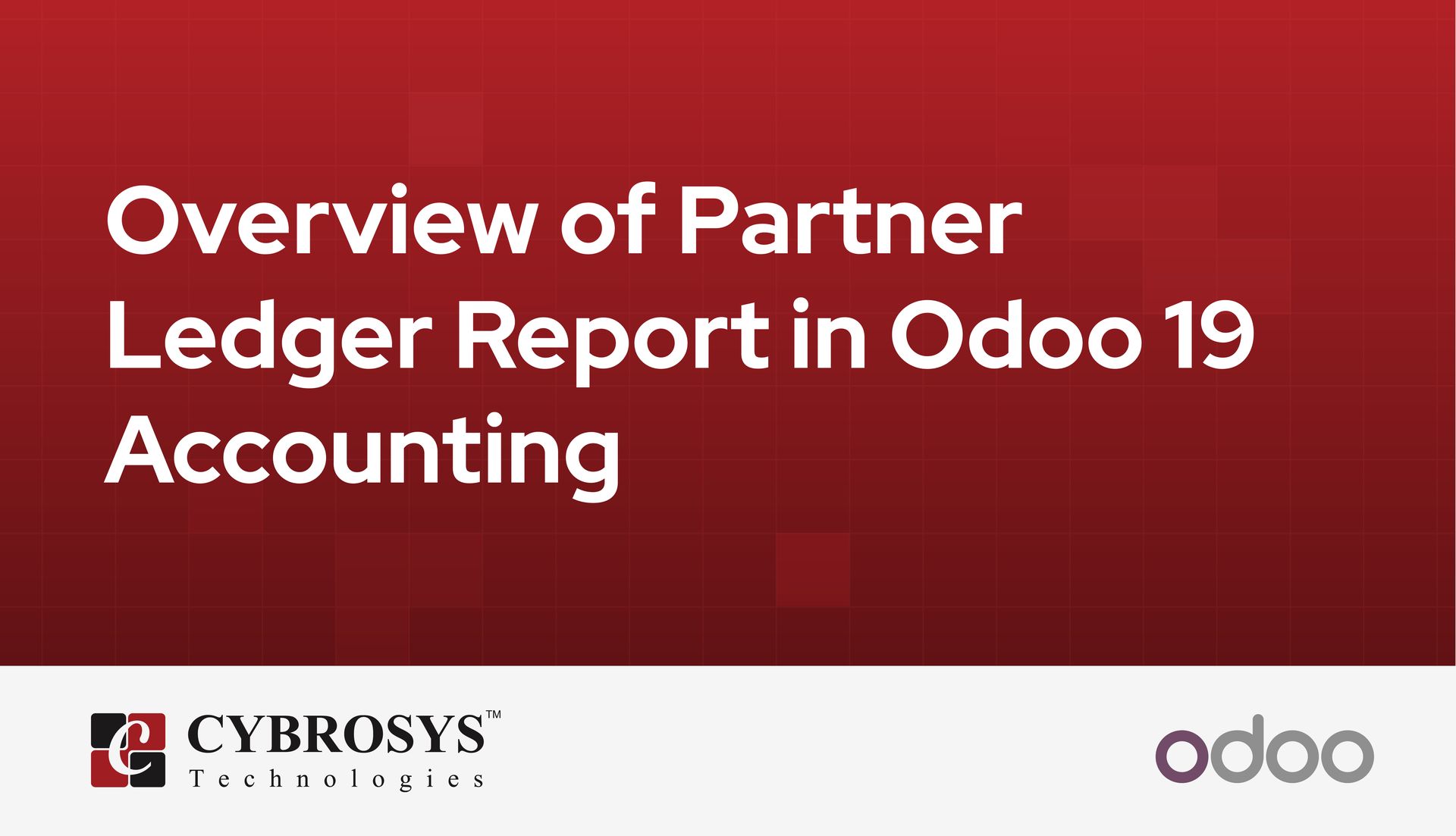 overview-of-partner-ledger-report-in-odoo-19-accounting.jpg