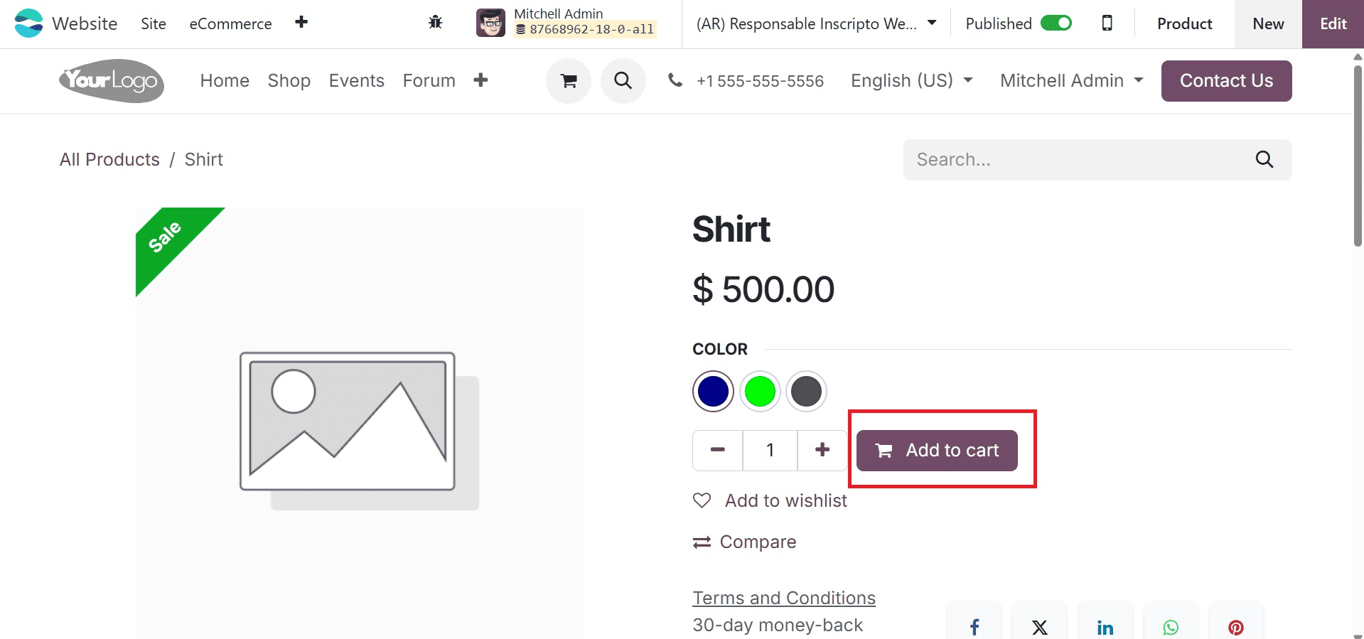 Overview of Selling Products in Odoo 18 Website-cybrosys