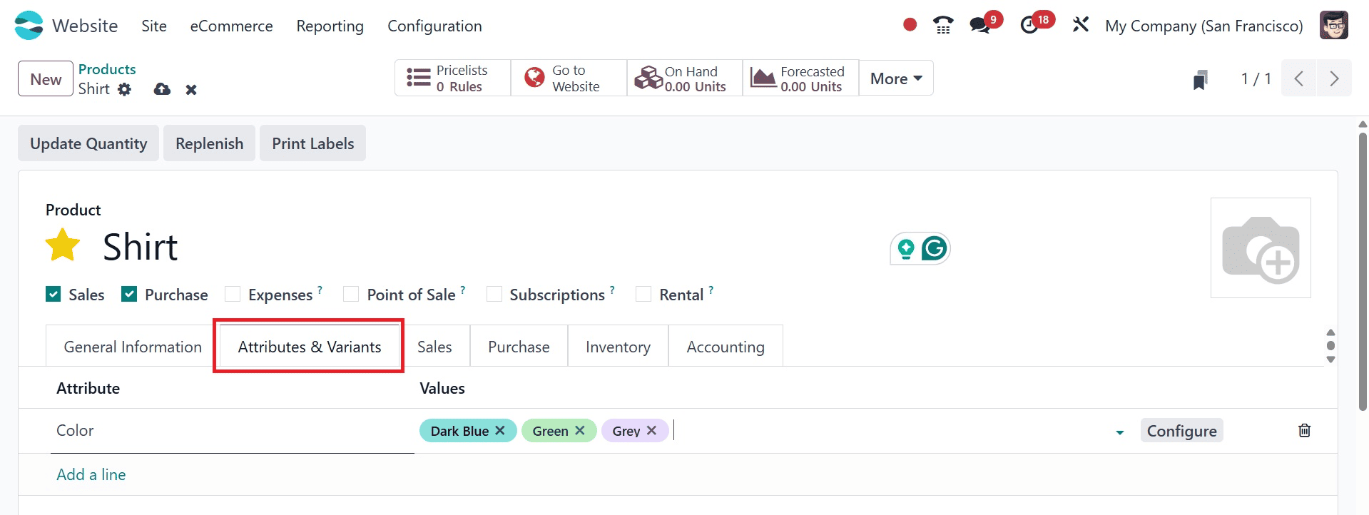 Overview of Selling Products in Odoo 18 Website-cybrosys