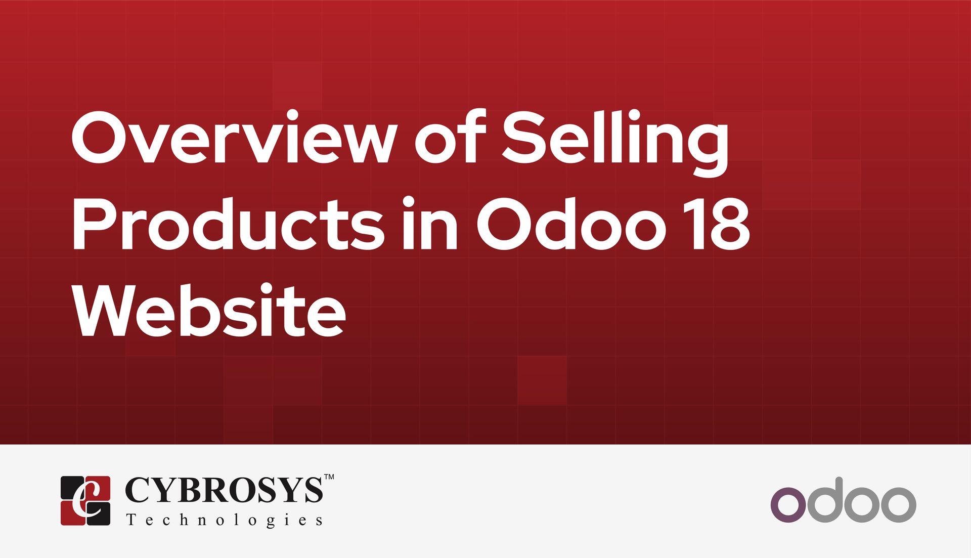 overview-of-selling-products-in-odoo-18-website.jpg