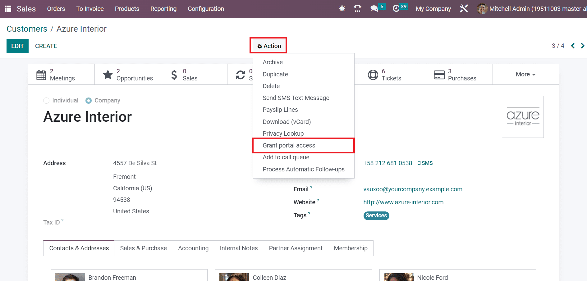 Overview of User Types in the Odoo 16 Sales App-cybrosys