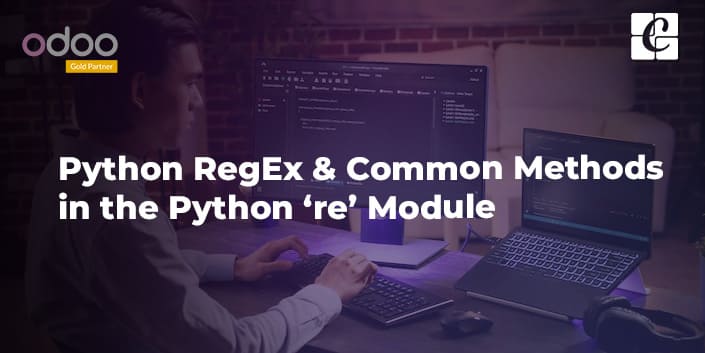 python-regex-common-methods-in-the-python-re-module.jpg