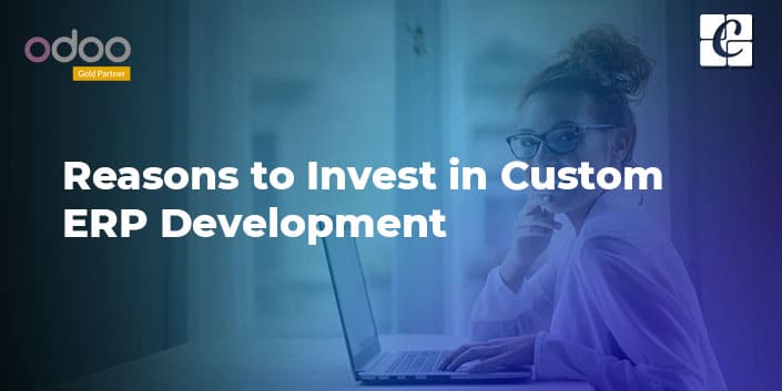 reasons-to-invest-in-custom-erp-development.jpg