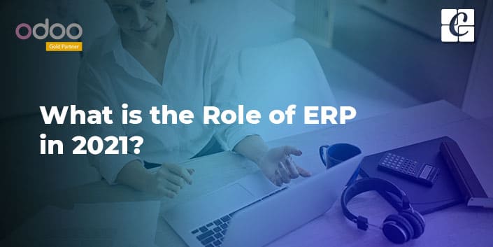 role-of-erp-in-2021.jpg