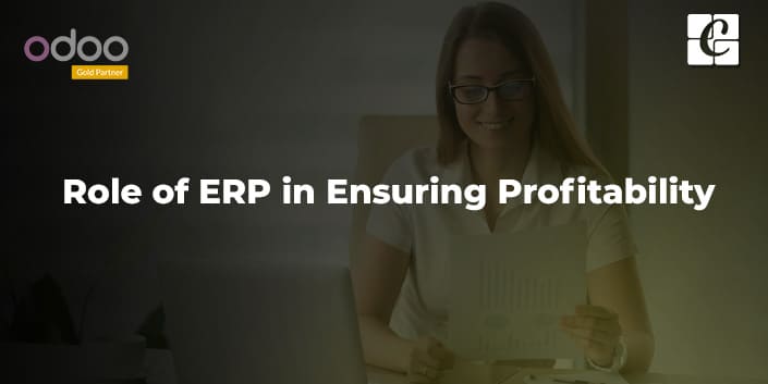 role-of-erp-in-ensuring-profitability.jpg