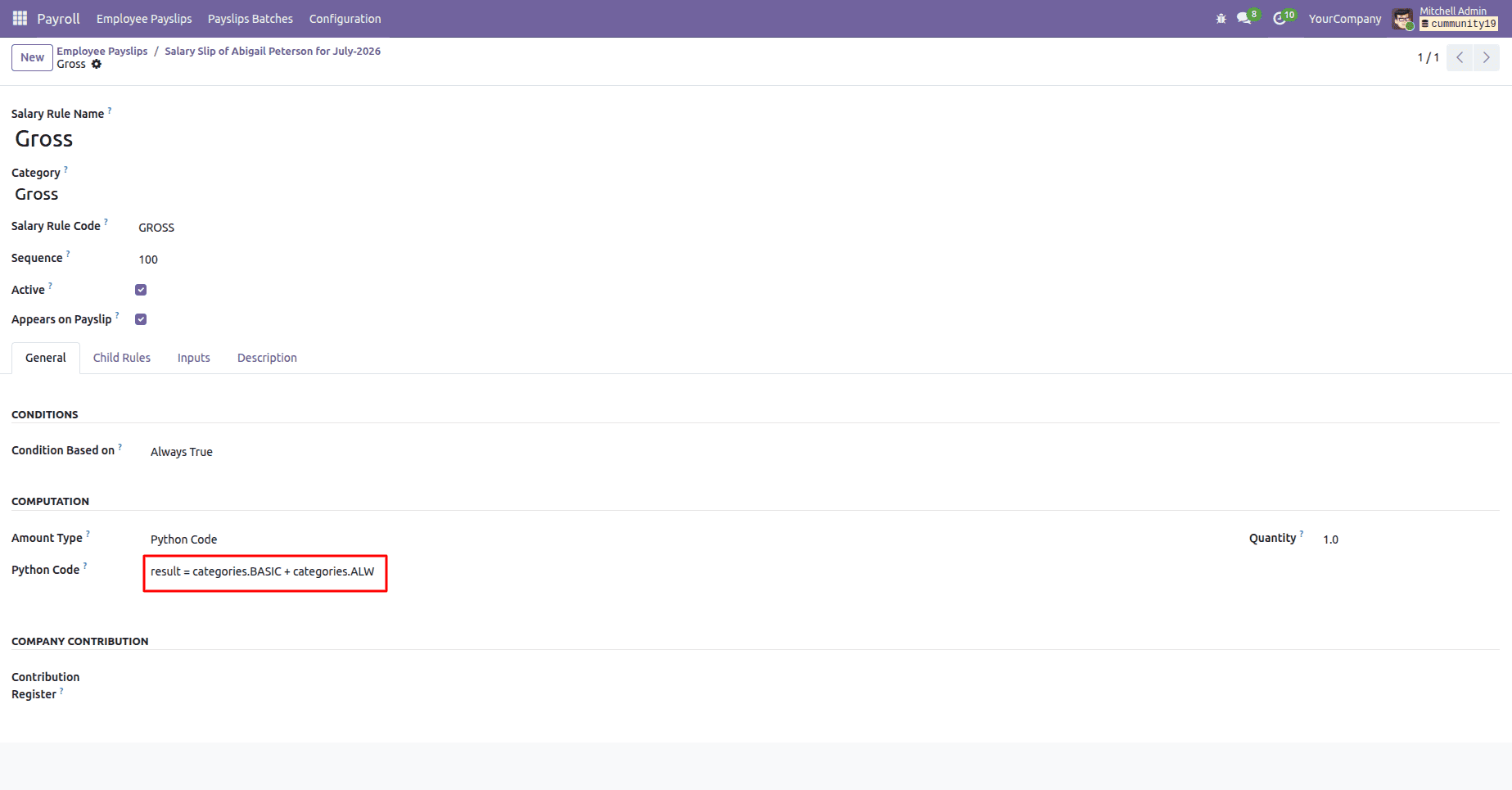 The Complete HR Payroll Solution for Odoo 19 Community Edition-cybrosys