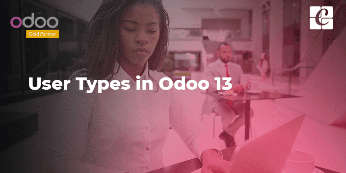 user-types-in-odoo-13.png