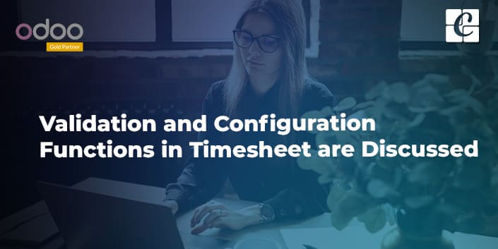 validation-and-configuration-functions-in-timesheet-are-discussed.jpg