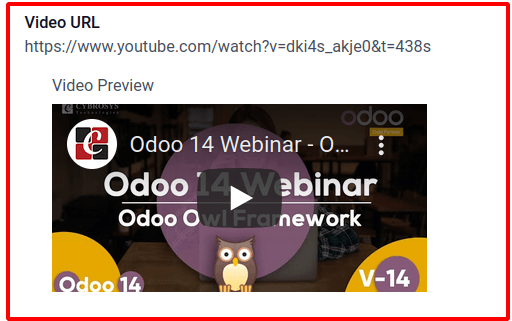 video-preview-widget-in-odoo-15-cybrosys