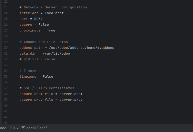 What are the config file parameters in Odoo 19-cybrosys