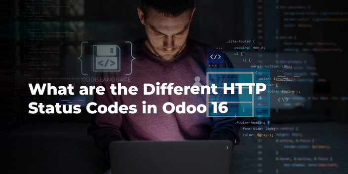 what-are-the-different-http-status-codes-in-odoo-16.jpg
