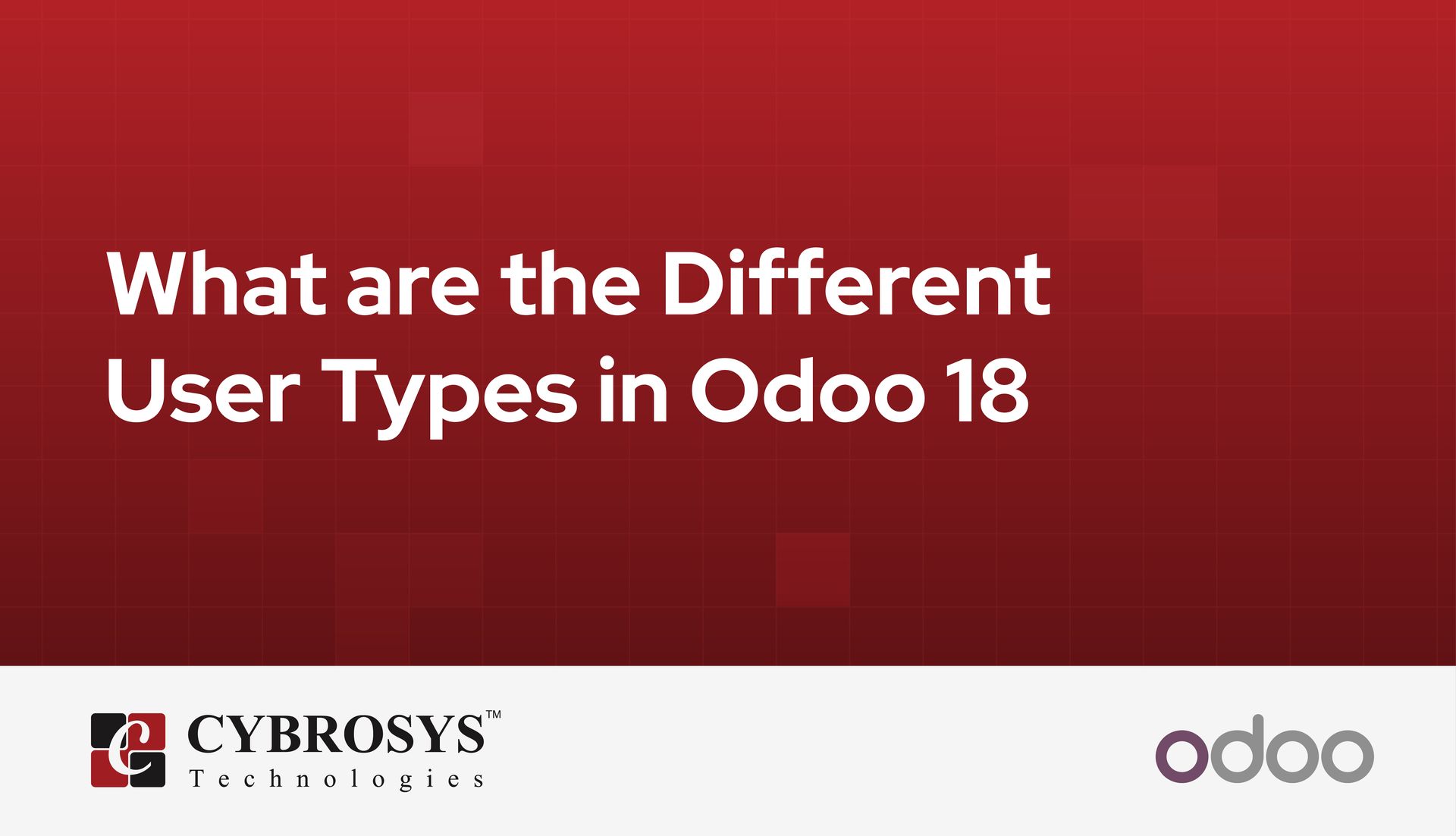 what-are-the-different-user-types-in-odoo-18.jpg