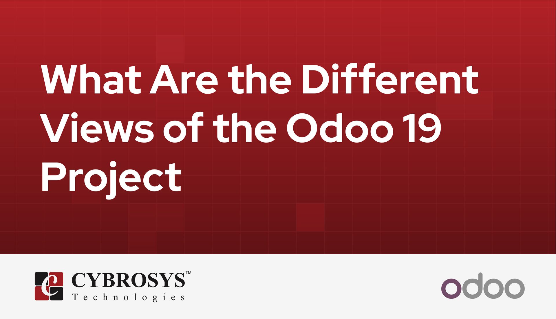 what-are-the-different-views-of-the-odoo-19-project.jpg