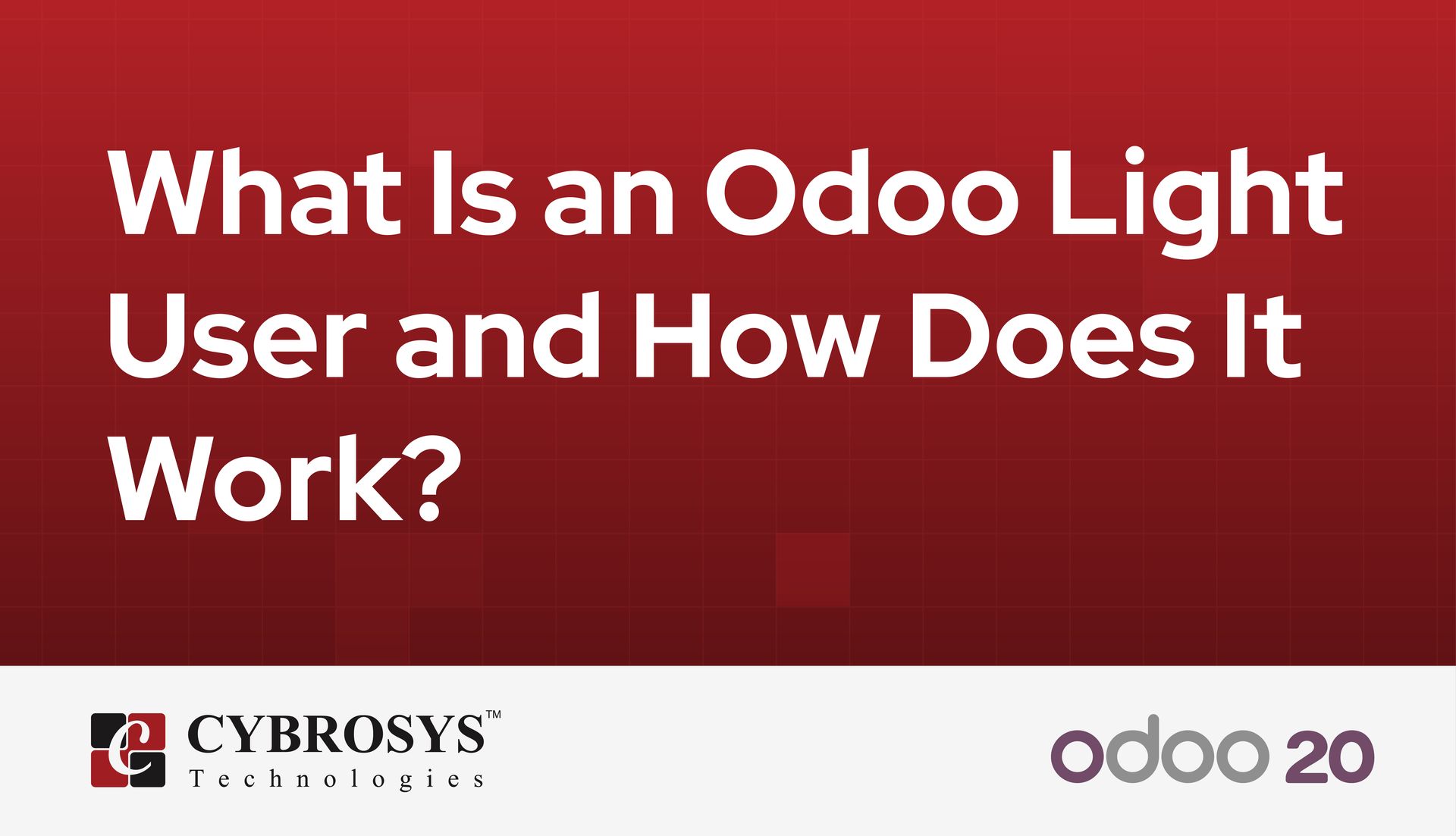 what-is-an-odoo-light-user-and-how-does-it-work.jpg